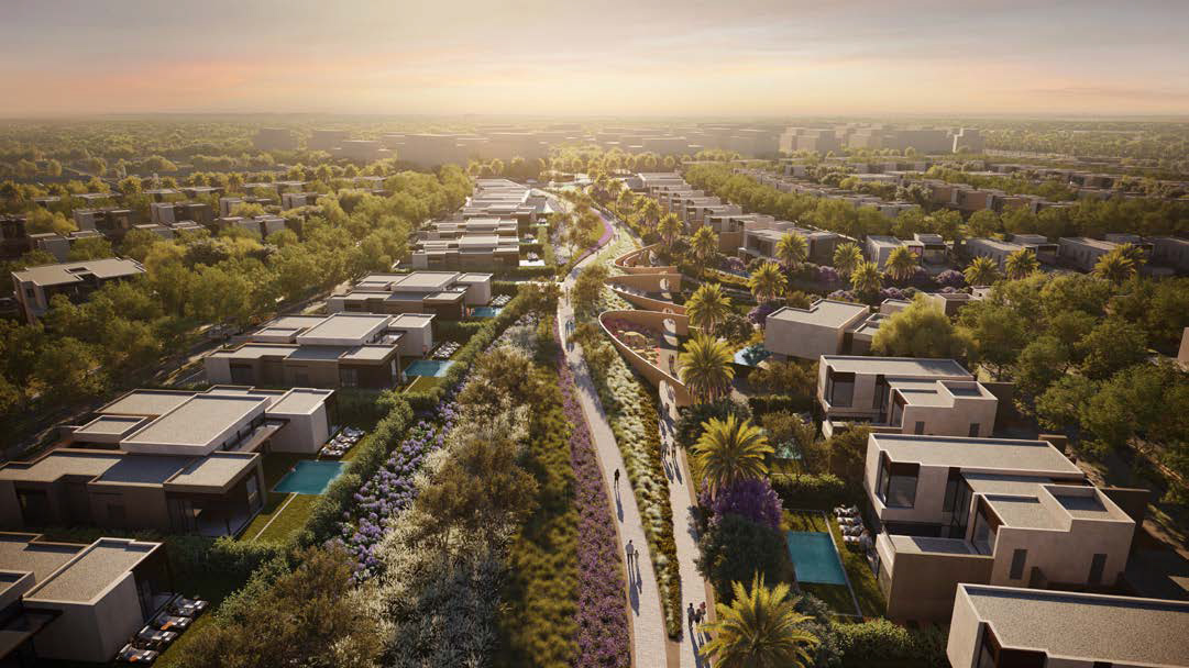 سولانا الشيخ زايد