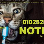 نوشن القاهرة الجديدة Notion New Cairo