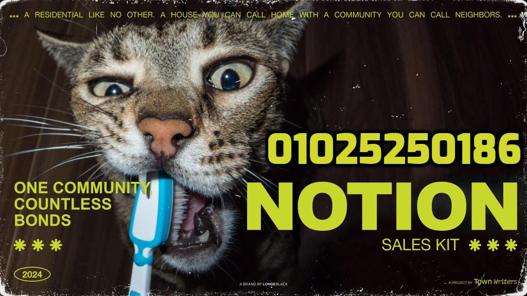 نوشن القاهرة الجديدة Notion New Cairo