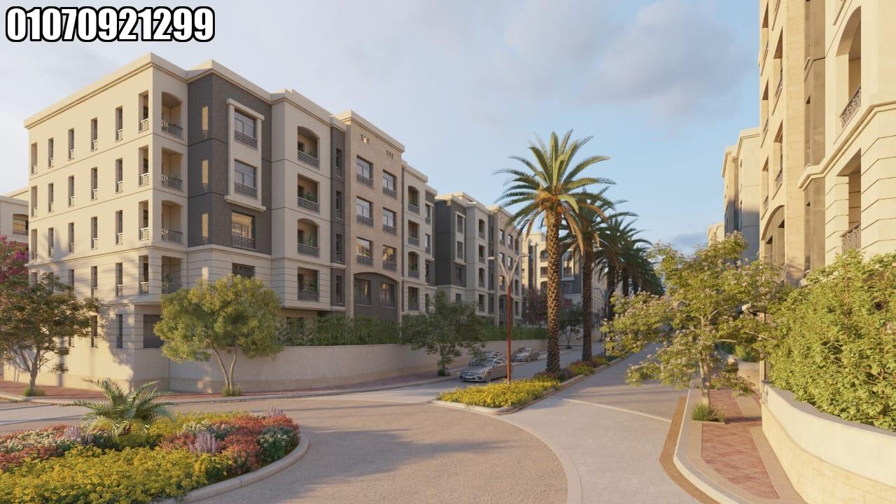 الكا القاهرة الجديدة | Alca New Cairo