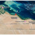 سيكويا البحر الاحمر Sequoia Red Sea