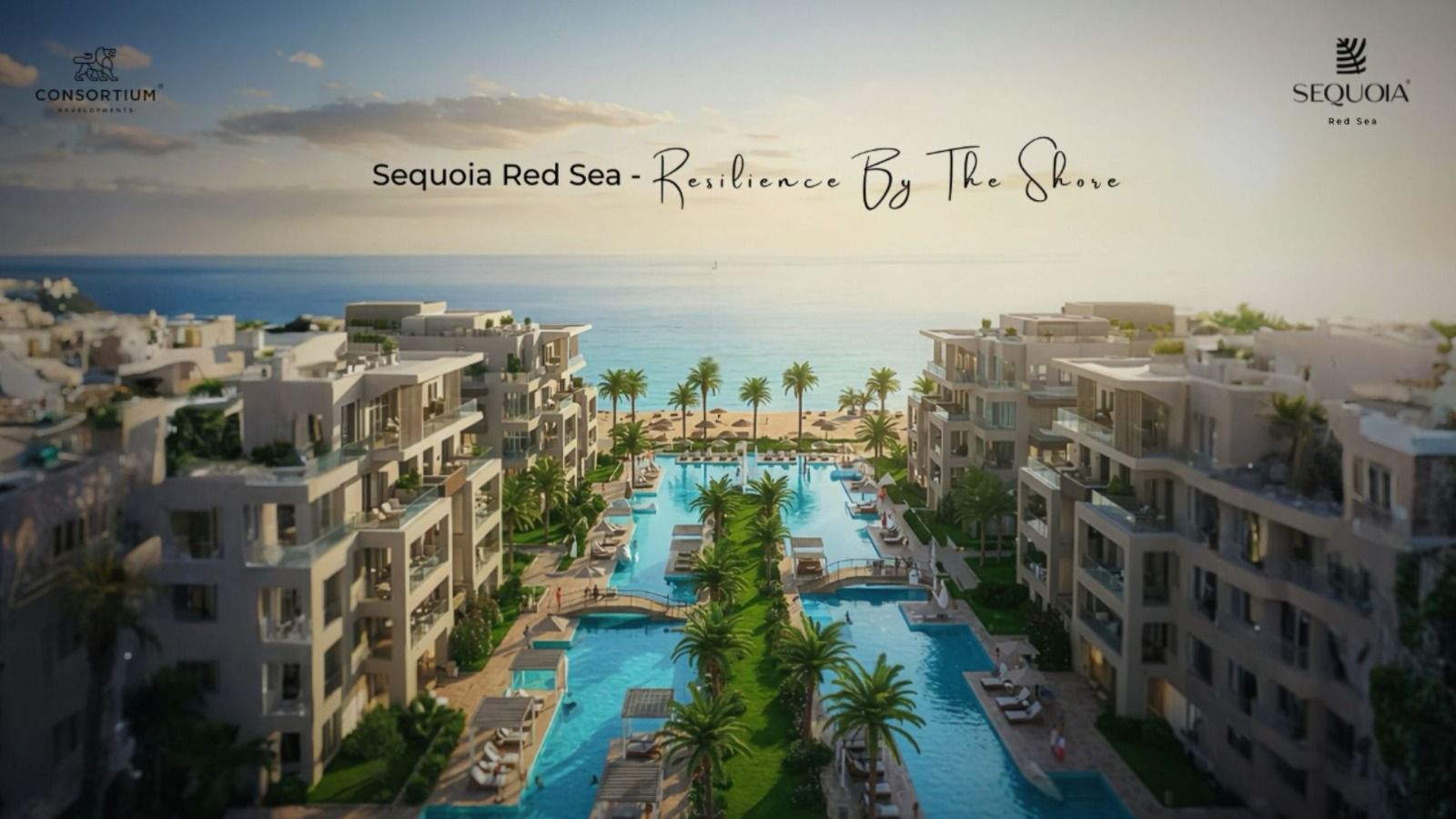 سيكويا البحر الاحمر Sequoia Red Sea