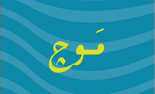 مشروع موج الساحل الشمالى | Pledge Development
