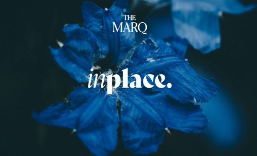 أسعار مول ان بلاس التجمع | InPlace