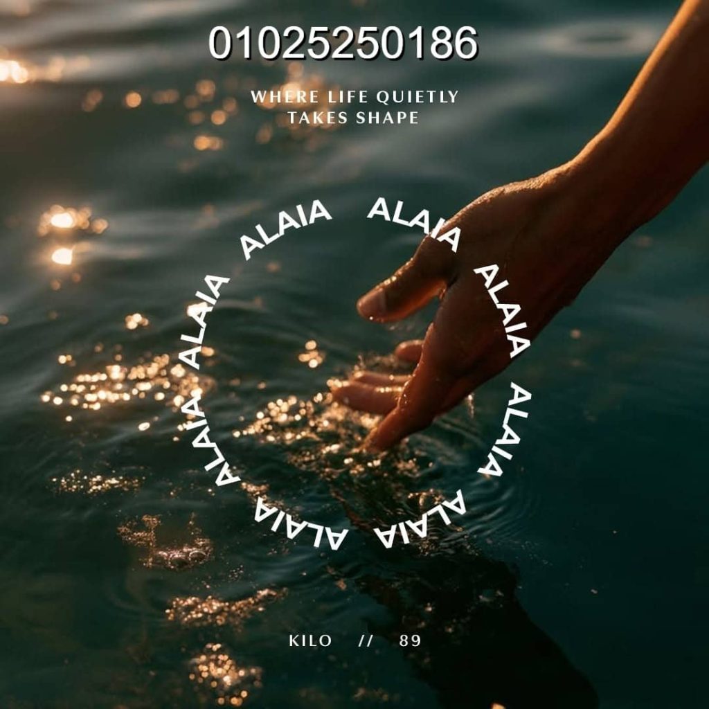 Alaia North Coast